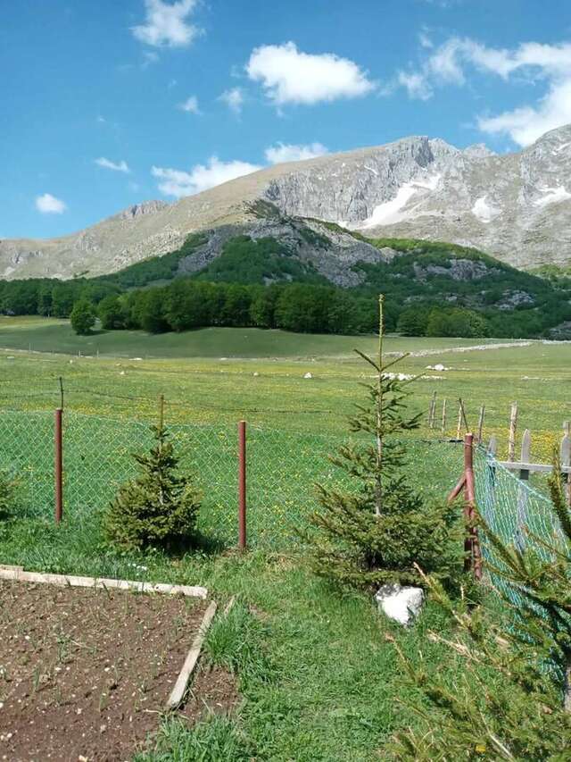 Апартаменты Korisno Жабляк-7